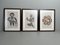Henry Hunt, Noreen Hunt & Patrick Amos, uvres d'Art Figuratives des Premières Nations, 1960s, Estampes, Encadrée, Set de 3 1