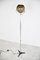 Mid-Century Globe Floor Lamp attributed to Frank Ligtelijn for Touch, 1960s 8