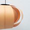 Disa Hanging Lamp by the architect J.A. Coderch, 1954, Image 8