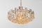 Large Gilt Brass and Crystal Glass Chandelier attributed to Palwa, Germany, 1960s 9