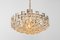 Large Gilt Brass and Crystal Glass Chandelier attributed to Palwa, Germany, 1960s, Image 9
