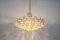 Large Gilt Brass and Crystal Glass Chandelier attributed to Palwa, Germany, 1960s 12