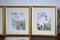 Marjorie Blamey, illustrations de la nature, estampes, encadrées, lot de 4 3