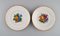 Late 19th Century Porcelain Plates from Royal Copenhagen, Set of 5 3