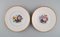 Late 19th Century Porcelain Plates from Royal Copenhagen, Set of 5 2