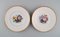 Piatti in porcellana della fine del XIX secolo di Royal Copenhagen, set di 5, Immagine 2