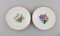 Late 19th Century Plates in Porcelain from Bing & Grøndahl, Set of 6 2