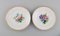 Late 19th Century Plates in Porcelain from Bing & Grøndahl, Set of 6, Image 2