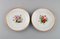 Late 19th Century Plates in Porcelain from Bing & Grøndahl, Set of 6 4