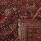 Malayer Teppich aus Baumwolle & Wolle, Naher Osten, 1920er 10