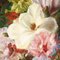 Artiste Italien, Nature Morte Aux Fleurs, 19ème Siècle, Huile sur Toile, Encadrée 4