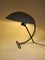 Lampe de Bureau NB100 par Louis Kalff pour Philips, 1950s 6