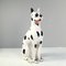 Vintage Life-Size Dalmatian Mastiff Dog Sculpture in Ceramic, Italy, 1970s 1