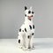 Vintage Life-Size Dalmatian Mastiff Dog Sculpture in Ceramic, Italy, 1970s, Image 1