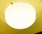 Lampe à Suspension Modèle KD6 Mid-Century par Achille et Pier Giacomo Castiglion pour Kartell, 1960s 5