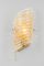 Large Murano Brass Sconce attributed to Hillebrand, Germany, 1970s, Image 7