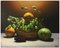 Maximilian Ciccone, Hyperrealist Lemon, Grape and Pumpkin Still Life, 2011, Oil on Canvas 1