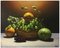 Maximilian Ciccone, Hyperrealist Lemon, Grape and Pumpkin Still Life, 2011, Oil on Canvas, Image 1