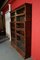Libreria modulare antica in mogano di Globe Wernicke, set di 12, Immagine 2