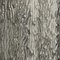 Tronchi Kronleuchter aus Muranoglas von Toni Zuccheri für Venini, Italien, 1960er 10