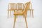 Beech Dining Chairs by Antonin Suman, Czechoslovakia, 1960s, Set of 4 11