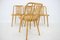 Beech Dining Chairs by Antonin Suman, Czechoslovakia, 1960s, Set of 4 10