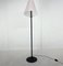 Vintage Mycene Floor Lamp attributed to Renato Toso & Giovanna Noti Massari for Leucos, 1980s 4