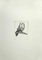 Enotrio Pugliese, Owl, años 70, Grabado, Imagen 1