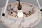 Antique Marbled Glass Ceiling Lamp, 1890s 4