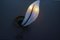 Italienische Vetro Murano Venezia Wandlampe aus Opalglas & Schmiedeeisen, 1990er 20