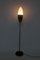 Vernickelte Messing Stehlampe von Stilnovo, 1950er 8