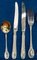 Sterling Silver Cutlery Set, 1880, Set of 252 16