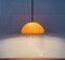 Lampe à Suspension Cabras Mid-Century par Luigi Massoni pour Guzzini, 1960s 3
