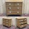 19th Century Victorian Fir and White Porcelain Chest of Drawers 2