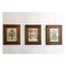 Stampe floreali nello stile di Basilius Besler, con cornice, set di 4, Immagine 5