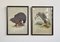 Vintage Bird Prints with Black Frames from Grants, Set of 2 1