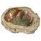 15th Century Petrified Wood Ashtray 1