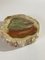 15th Century Petrified Wood Ashtray 6