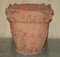 Large Antique Terracotta Planter, 1890 17