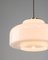 Mid-Century Pendant in Brass and Opaline 6