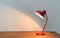 Lampe de Bureau 6556 Mid-Century Rouge par Christian Dell pour Kaiser Idell, Allemagne, 1960s 20