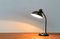 Lampe de Bureau 6556 Mid-Century par Christian Dell pour Kaiser Idell, Allemagne, 1960s 3