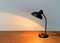 Mid-Century German 6556 Table Lamp by Christian Dell for Kaiser Idell, 1960s, Image 1