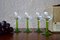 Bicchieri da vino trasparenti e verdi di Meisenthal, set di 12, Immagine 2