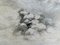 Volpe nella neve, anni '20, olio su tela, con cornice, Immagine 4