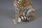 Statuetta di leopardo in ceramica, Italia, anni '60, Immagine 8
