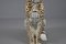 Italian Leopard Figurine in Ceramic, 1960s 7