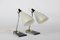 Mid-Century Lamps from Zukov, 1960s, Set of 2 1