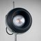 Eyeball Floor Lamp, 1970s 6