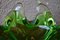 Ciotola in vetro di Murano verde e trasparente, Immagine 6